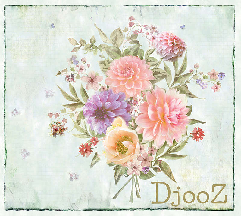 Tapety na zeď z katalogu Djooz 2